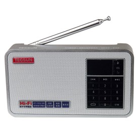 Tecsun X3 Built in an Aluminum case with Rechargeable FM Radio with ETM, MP3 Player with Built-in Micro SD Card Slot & Portable Hi-Fi Speaker with DSP Bass for Desktop & Laptop Computers, Color Silver