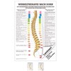 Bolt Mini poster Therapy Medical Educational Anatomy 34x24 cm mittel