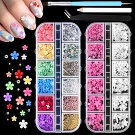 Oruola 2 Boxes 3D Flower for Nails,Multicolor 3D Flower Nail Art Charms Nail Rhinestones 3 Colors Pearls Nail Decorations with Pickup & Dotting Tools for Nail Art DIY Manicure Jewel Accessories