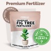 Organic Fiddle Leaf Fig Plant Food, Slow Release Dry Granular