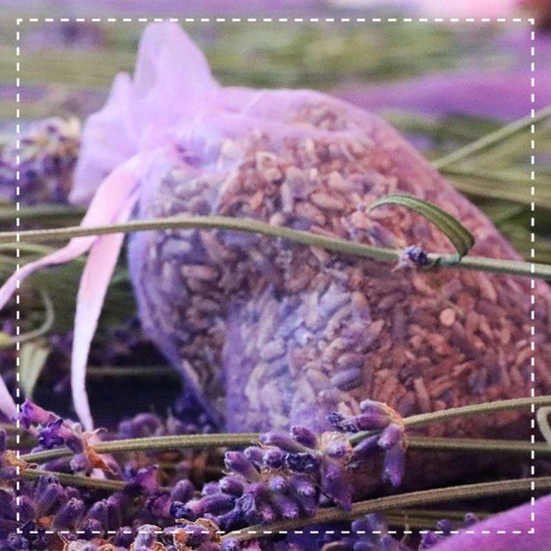 Biotiva Lavender Flowers Whole Organic 100g - Blue - Best