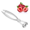 Olive Pitter Small and Lightweight Cherry Pitter Tool for Nuclear