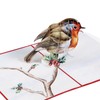 Robin Pop Up Christmas Cards 3D Single Xmas Card for