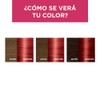 Tinte para cabello Excellence L'Oréal Paris 6660 Rubio Oscuro Rojizo