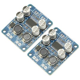 BGTXINGI TPA3118 Single Channel Digital Audio Power Amplifier Board Module 1 x 60 W DC 12 V-24 V Converter for Audio System DIY Speakers Pack of 2