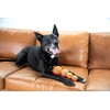 Outward Hound Squeaker Ballz Fetch Dog Toy, XS, 8-Pack