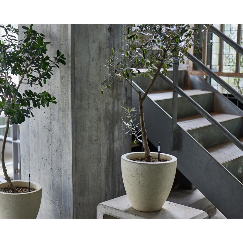 Cabinoche SUSTEE Watering Checker Susty Set of 5 L Black