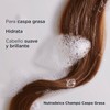 ISDIN Nutradeica Shampoo Anticaspa grasa, Reduce la Descamación, el Picor