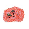 Setocraft SF-0088 Placemat (Salmon)
