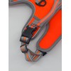 Hem and Boo Dog Harness, Sport Harness, No-pull Reflective Stitching,