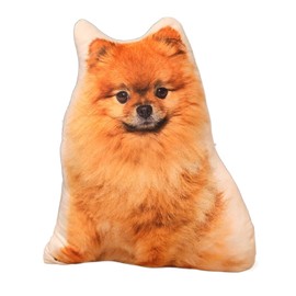 Pomeranian Plush, Dog, Large, Realistic Cat, Dog, Mochi, Cute, Super Realistic, 3D Body Pillow, Cute, Female Cushion, Pregnancy Pillow, MoE, Soft, 3D Room, Sleeping Pillow, 19.7 x 0.1 lbs (50 cm) x