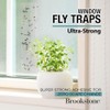 Brookstone Window Insect Trap Stickers – 16 Pack | Transparent