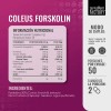 Forskolina Supplement Factory 60 Cápsulas Regular Metabolismo