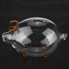 Transparent Glass Pig Coin Saver Bank Piggy Money Saving Box