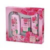 BioFresh Geschenk – Pakete Rose of Bulgaria: Duschgel 330 ml,