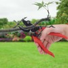 Agricultural Vegetables Fruits Pruning Shears Bonsai Pruner Picking Scissors Gardening