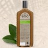 Tio Nacho Aloe Vera Deep Repair Shampoo: Organic Aloe Vera