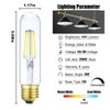 Leools Dimmable Edison Led Tubular Bulb T10,4W Vintage Led Filament