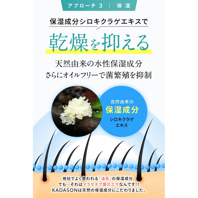 KADASON Scalp Shampoo & Treatment / For Seborrheic Dandruff and
