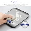 ZONSEL 1 Pack Food Kitchen Scale, LCD Display Digital Grams