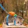 Adjustable Hedgehog Training Harness with Leash, Nylon Rope with Cute