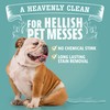Angry Orange Stain Remover - 32oz Enzyme Pet Cleaner -