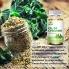 Oregano Oil Capsules - Natural Antibacterial & Immune Defense Boost