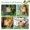 2 Pack Bird Houses for Outside - Cedar Bluebird Houses