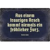 Metal Sign 20 x 30 cm "Aus einem traurigen Arsch