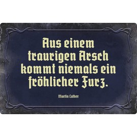 Metal Sign 20 x 30 cm "Aus einem traurigen Arsch Says" Tin Sign