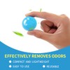 MAXIMILIAN Shoe Deodorizer Balls - Odor Eliminator for Fresh Footwear