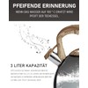 Poliviar JX2018-MS20-DE modern induction kettle, stainless steel whistling kettle, tea
