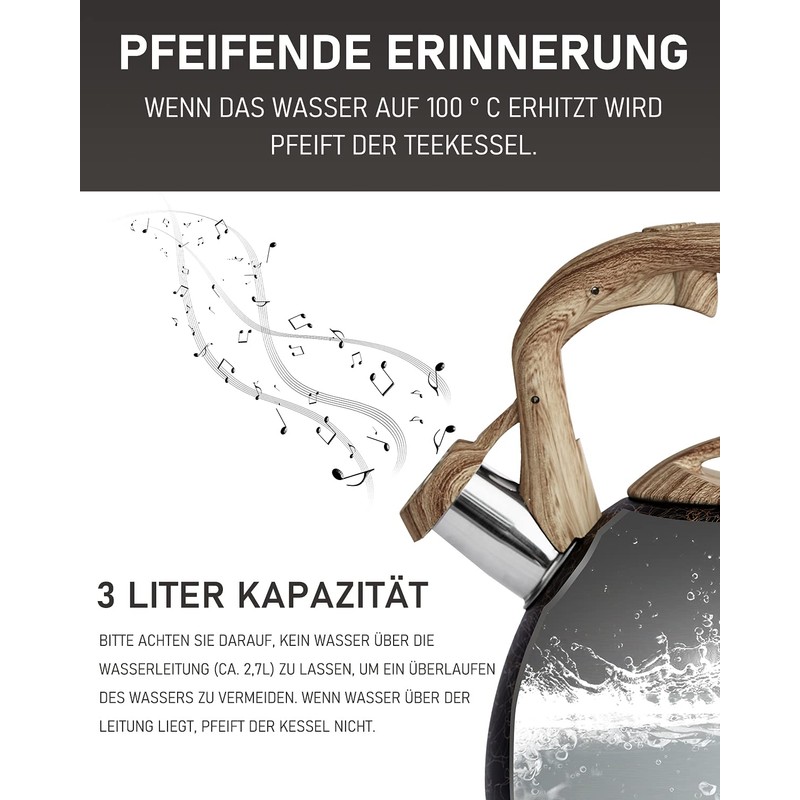 Poliviar JX2018-MS20-DE modern induction kettle, stainless steel whistling kettle, tea