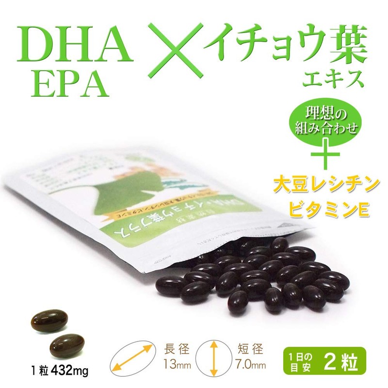 Dainichi Healthy Foods DHA EPA Ginkgo Biloba Leaf 80 Capsules