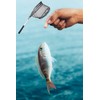 ARROWWAY Folding Net Folding Type Small Barbecue Fishing Net Lightweight