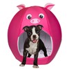 Maccabi Art Pig Theme Dog Bed - Cute Igloo Style