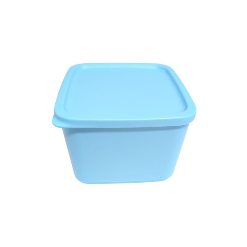 Tupperware Cubix Ice Crystal Freezer Storage Container Fridge Container Food