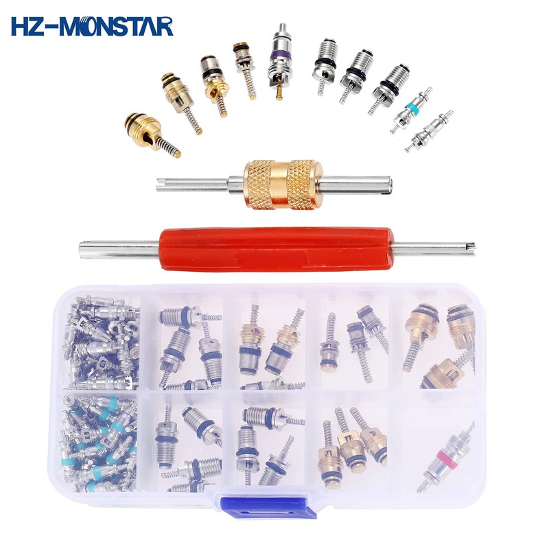 HZ-MONSTAR Valve Core Kit, 100 Pieces, R12, R134a, R410, R32,