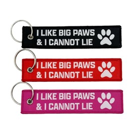 Boostnatics I Like Big Paws & I Cannot Lie - Dog Keychain/Jet Tag - Gift For Pet Lovers (Pink)