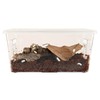 Zoo Med Creatures Isopod Habitat Roly-Poly Kit 10.25" L X