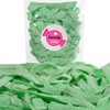 Smarty Stop Sour Gummy candy Strips (Green Apple, 1 Pound)