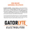 Gatorlyte Bebida Hidratante con Electrolitos sabor Naranja 6 Pack x