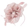 Zando Fascinators Hats for Women Tea Party Hat Feathers Kentucky