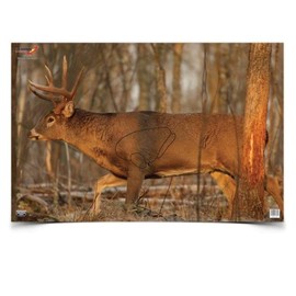 Birchwood Casey 37481 EZE-Scorer Deer 23x35