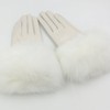 Sandy Ting Winter Women's Lambskin Leather Gloves with Fox Fur