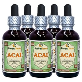 Acai (Euterpe oleracea) Glycerite, Organic Berries Alcohol-Free Liquid Extract (Brand Name: HerbalTerra, Proudly Made in USA) 5x2 fl.oz (5x60 ml)