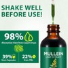 2 Pack Mullein Extract for Lungs Cleanse and Respiratory Support