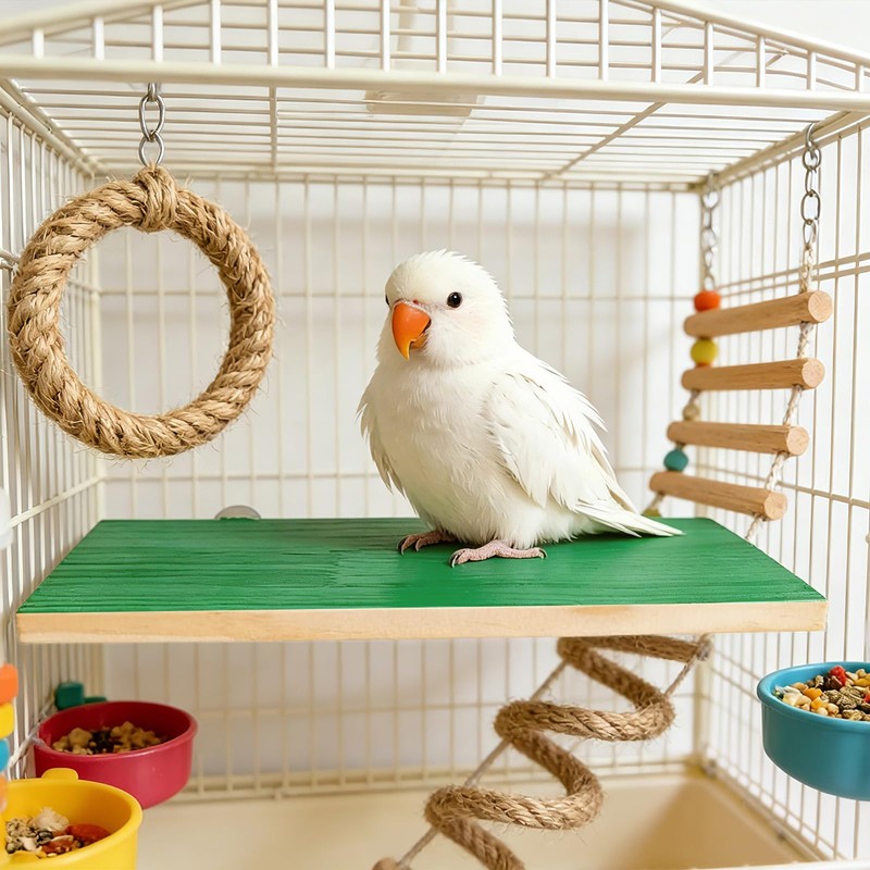 3 Pack Bird Perch Stand, Natural Wood Platform and Playground