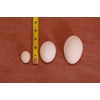 Incubator Warehouse Ceramic Nest Egg (Single Egg, White, Medium (Chicken))