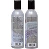MANIC PANIC Silver Stiletto Shampoo and Conditioner